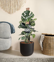 Lade das Bild in den Galerie-Viewer, Stone Black stand:all