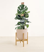 Lade das Bild in den Galerie-Viewer, Sandy Pink stand:bamboo