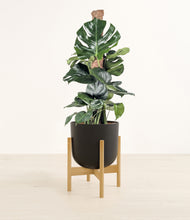 Lade das Bild in den Galerie-Viewer, Stone Black stand:bamboo