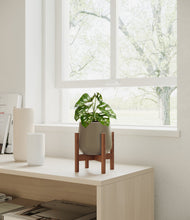 Lade das Bild in den Galerie-Viewer, Olive stand:walnut