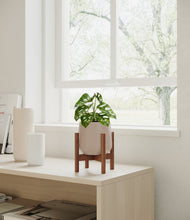 Lade das Bild in den Galerie-Viewer, Eternal Gray stand:walnut