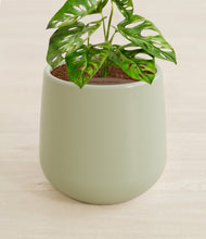 Lade das Bild in den Galerie-Viewer, Turquoise stand:all