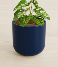 Load image into Gallery viewer, Twilight Blue stand:all