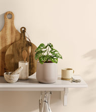 Lade das Bild in den Galerie-Viewer, Eternal Gray