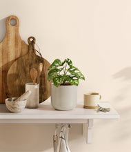 Load image into Gallery viewer, Cotton White
