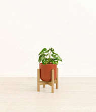 Load image into Gallery viewer, Glossy Red stand:bamboo