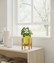 Load image into Gallery viewer, Key Lime Yellow stand:all
