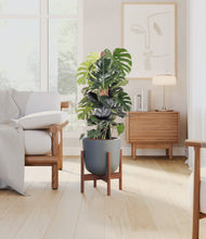Lade das Bild in den Galerie-Viewer, Sage Green stand:dark