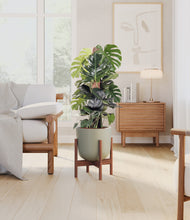 Lade das Bild in den Galerie-Viewer, Sage Green stand:dark