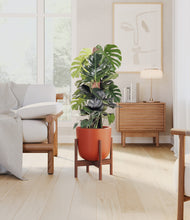 Lade das Bild in den Galerie-Viewer, Earth Red stand:dark