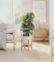 Lade das Bild in den Galerie-Viewer, Natural Bamboo stand:light