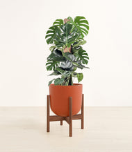 Lade das Bild in den Galerie-Viewer, Earth Red stand:dark