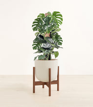 Lade das Bild in den Galerie-Viewer, Natural Bamboo stand:dark