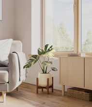 Load image into Gallery viewer, Almond Green stand:walnut