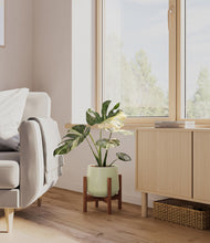 Load image into Gallery viewer, Turquoise stand:walnut
