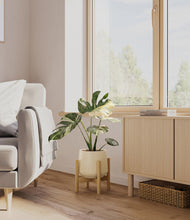 Load image into Gallery viewer, Almond Green stand:bamboo