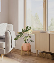 Load image into Gallery viewer, Calm Rose stand:bamboo