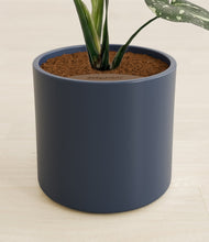 Load image into Gallery viewer, Deep Navy stand:all