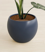 Load image into Gallery viewer, Deep Navy stand:all