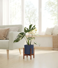 Load image into Gallery viewer, Deep Navy stand:walnut