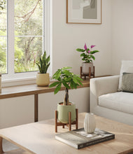 Load image into Gallery viewer, Earthy stand:two_stands