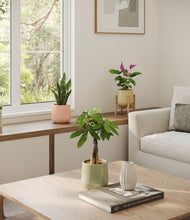 Load image into Gallery viewer, Lily Pad stand:one_stand