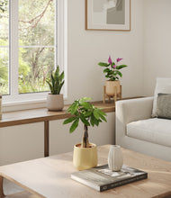 Load image into Gallery viewer, Sandy stand:one_stand