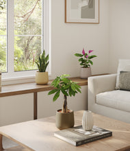 Load image into Gallery viewer, Woodland