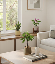 Load image into Gallery viewer, Woodland stand:one_stand