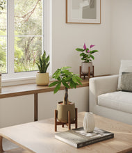 Load image into Gallery viewer, Woodland stand:two_stands