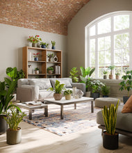 Load image into Gallery viewer, Winding River