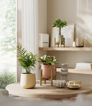 Load image into Gallery viewer, Lily Pad stand:two_stands