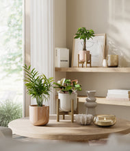 Load image into Gallery viewer, Peach Blossom stand:two_stands