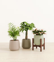 Load image into Gallery viewer, Earthy stand:one_stand
