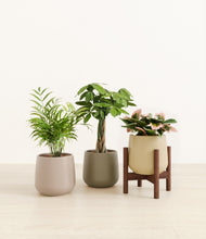 Load image into Gallery viewer, Woodland stand:one_stand