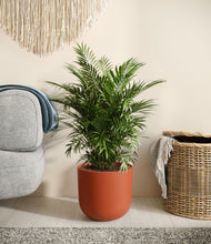 Lade das Bild in den Galerie-Viewer, Earth Red stand:all