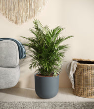 Lade das Bild in den Galerie-Viewer, Iron Gray stand:all