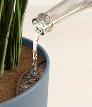 Load image into Gallery viewer, Iron Gray stand:all