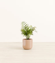 Load image into Gallery viewer, Glossy Pink*****Profile