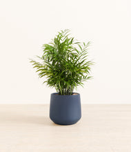 Load image into Gallery viewer, Deep Navy*****Profile