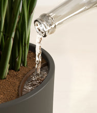 Load image into Gallery viewer, Dark Olive stand:all