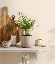 Load image into Gallery viewer, Eternal Gray