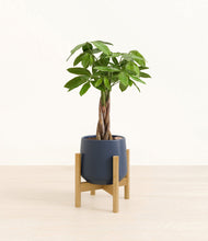 Load image into Gallery viewer, Deep Navy stand:bamboo