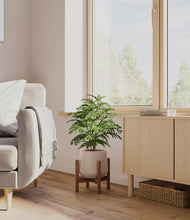 Load image into Gallery viewer, Eternal Gray stand:walnut