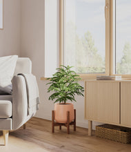 Load image into Gallery viewer, Calm Rose stand:walnut
