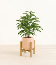 Load image into Gallery viewer, Gentle Pink stand:bamboo