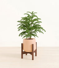 Load image into Gallery viewer, Gentle Pink stand:walnut