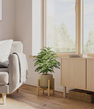 Load image into Gallery viewer, Olive stand:bamboo