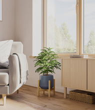 Load image into Gallery viewer, Deep Navy stand:bamboo