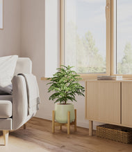 Load image into Gallery viewer, Turquoise stand:bamboo